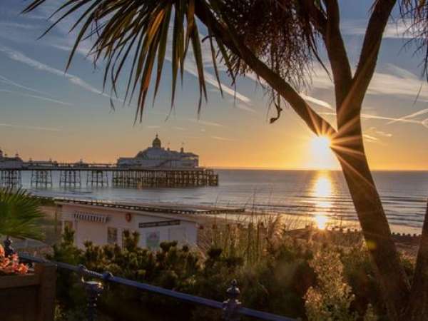    How to Travel from Victoria station to Eastbourne?
