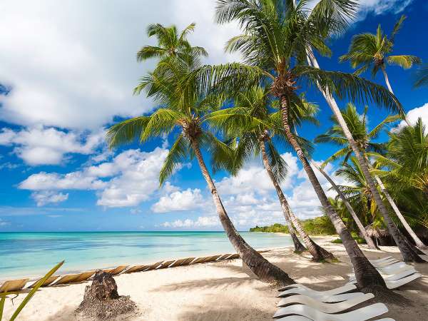  Правительство Фиджи ограничит передвижение туристов
